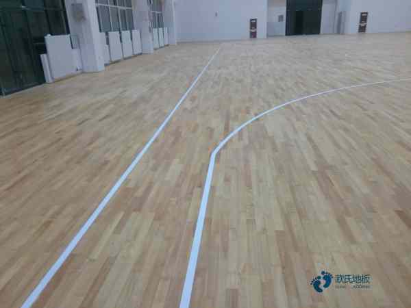 校园体育运动木地板2
