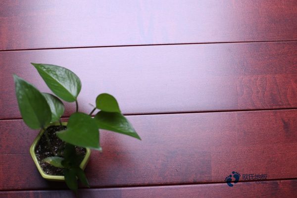 籃球木地板價格是多少3