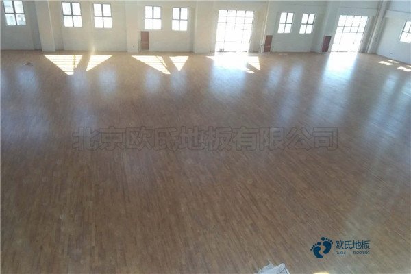 篮球运动木地板行业品牌2