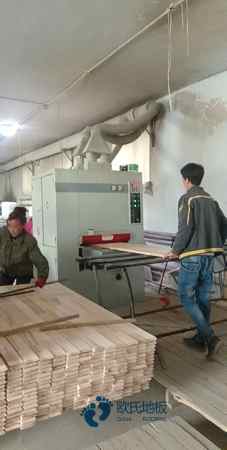 枫桦木运动场木地板安装公司