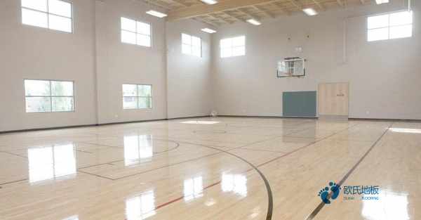 篮球场馆木地板价格多少