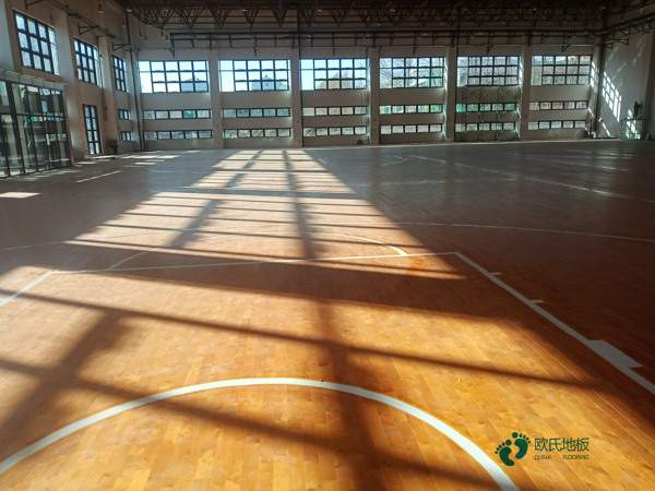 篮球场馆木地板哪个牌子性价比高