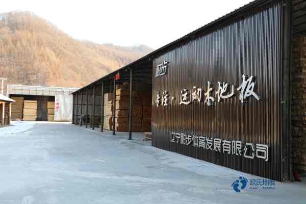 学校体育篮球地板安装公司