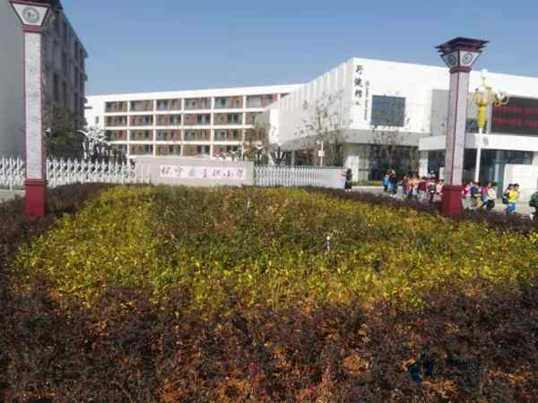 室內(nèi)運(yùn)動(dòng)籃球木地板施工工藝