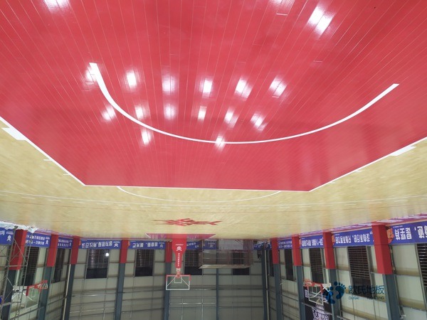 定做篮球地板哪种牌子好2