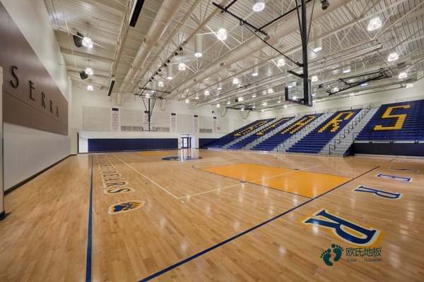 楓木籃球體育木地板保養