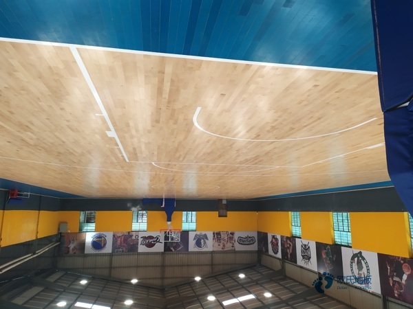 篮球场地板检测报告
