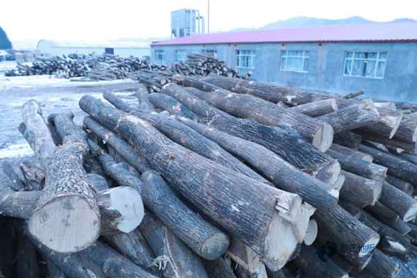 用什么籃球木地板安裝公司