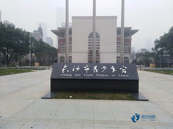 篮球运动木地板多少钱