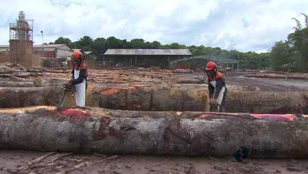 常用運(yùn)動(dòng)籃球木地板牌子3