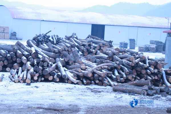 22mm厚体育篮球地板厂家报价