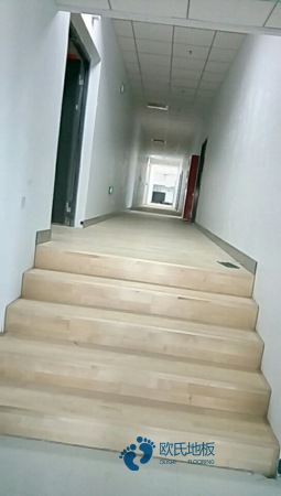 25厚篮球木地板厂家报价