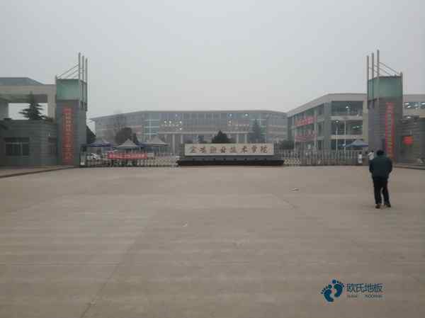 供应运动木地板环保