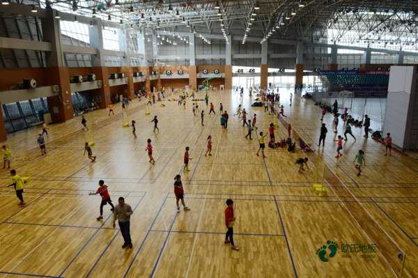 国产体育运动木地板环保