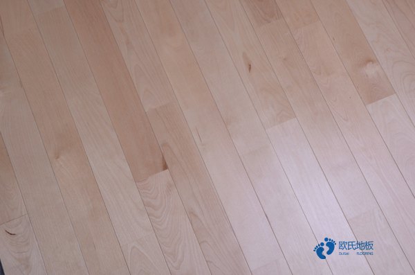 室内体育运动木地板清洁维护
