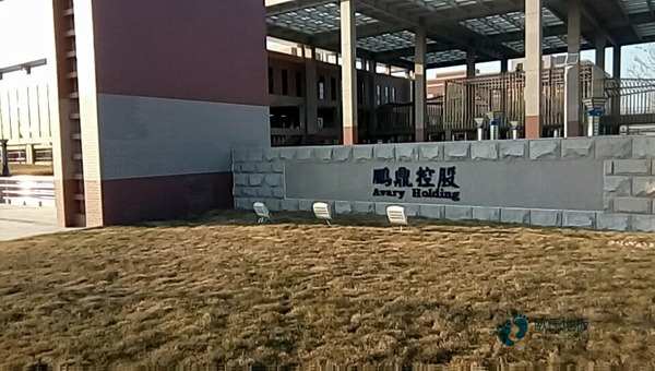 单层龙骨体育场木地板如何保养