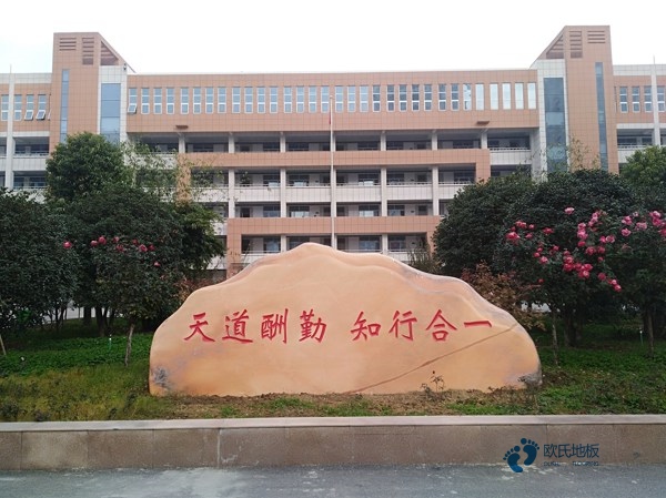 單層龍骨運(yùn)動(dòng)場(chǎng)地地板環(huán)保
