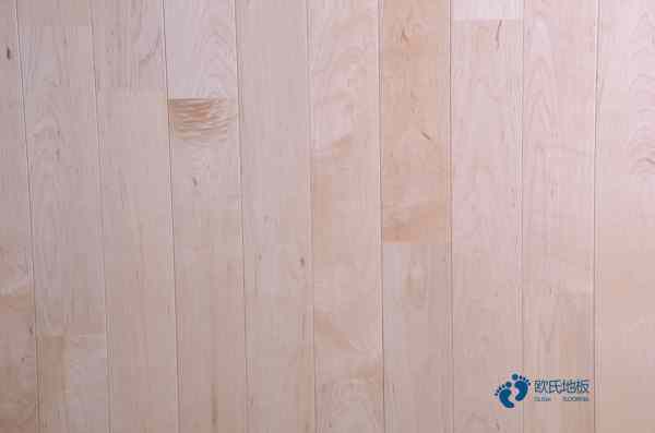 板式龙骨篮球运动木地板清洁保养